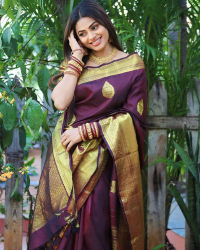 Phenomenal Wine Soft Silk Saree With Beautiful Blouse Piece ClothsVilla