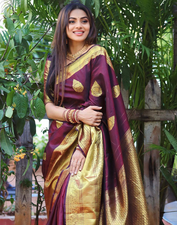 Phenomenal Wine Soft Silk Saree With Beautiful Blouse Piece ClothsVilla