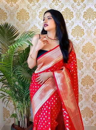Ailurophile Red Soft Silk Saree With Palimpsest Blouse Piece ClothsVilla