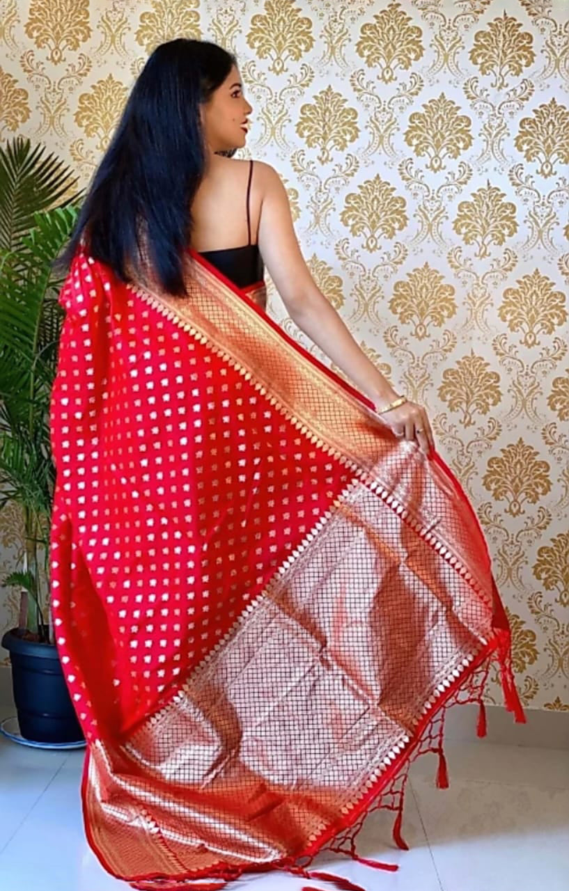 Ailurophile Red Soft Silk Saree With Palimpsest Blouse Piece ClothsVilla