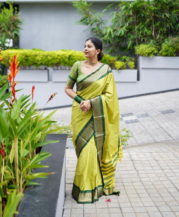 Hypnotic Perrot Soft Silk Saree With Blooming Blouse Piece ClothsVilla