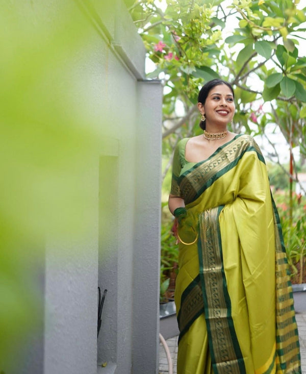 Hypnotic Perrot Soft Silk Saree With Blooming Blouse Piece ClothsVilla