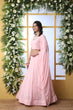 Load image into Gallery viewer, Adorable Light Pink Georgette Lehenga Choli ClothsVilla
