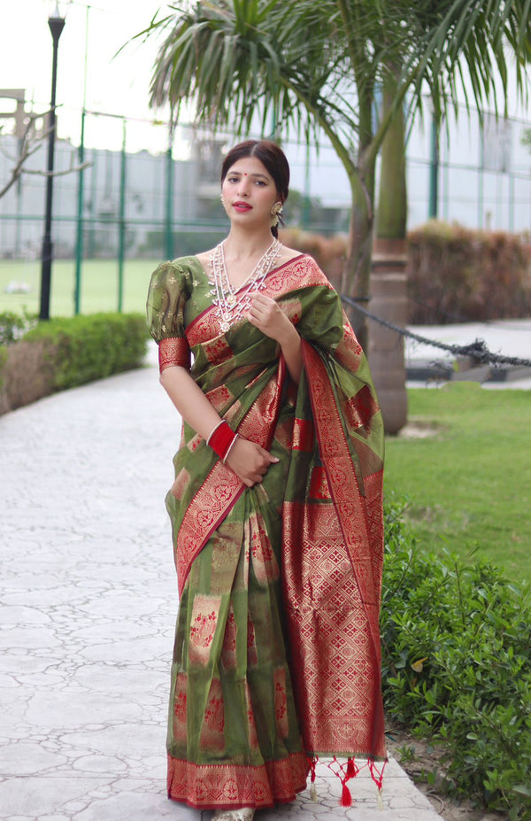 Trendy Green Organza Silk Saree With Dazzling Blouse Piece ClothsVilla