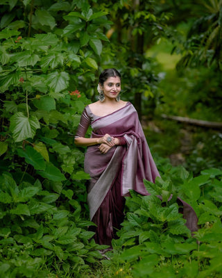 Desultory Brown Soft Kanjivaram Silk Saree With Diaphanous Blouse Piece ClothsVilla