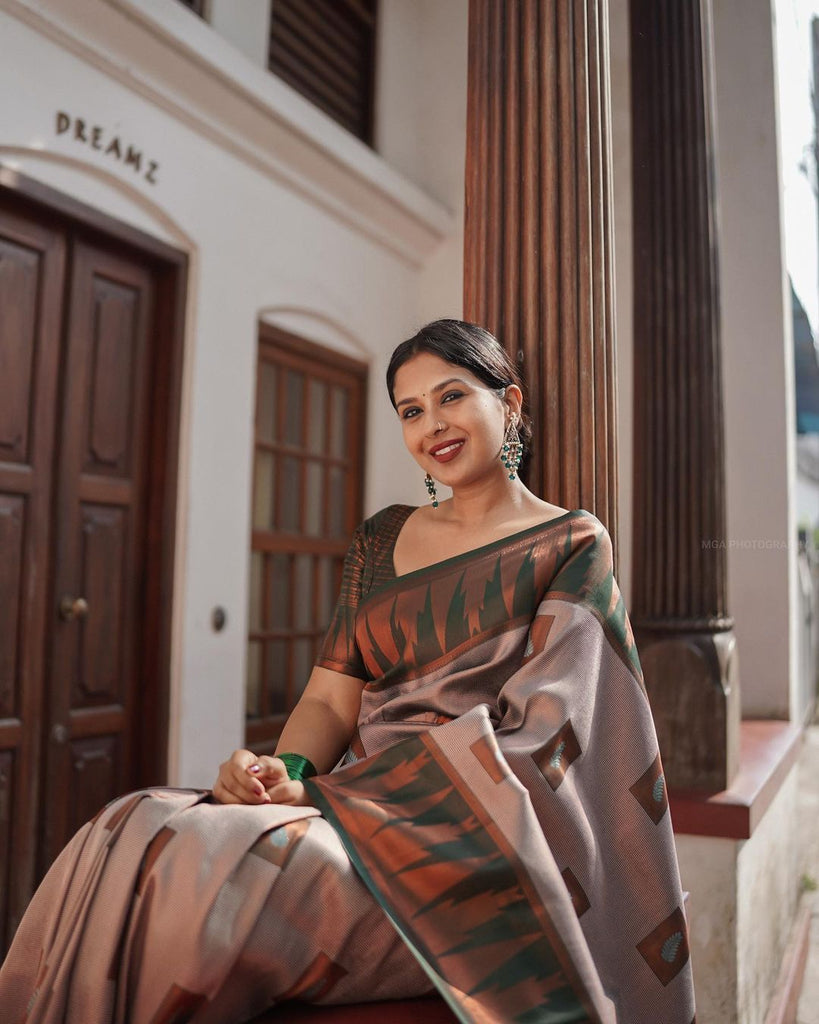 Luxuriant Grey Soft Silk Saree With Panoply Blouse Piece ClothsVilla