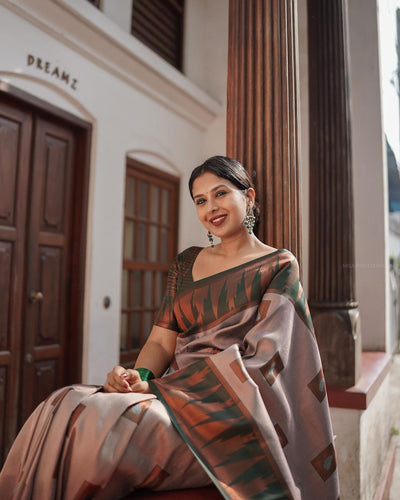 Luxuriant Grey Soft Silk Saree With Panoply Blouse Piece ClothsVilla