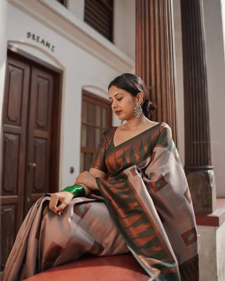 Luxuriant Grey Soft Silk Saree With Panoply Blouse Piece ClothsVilla
