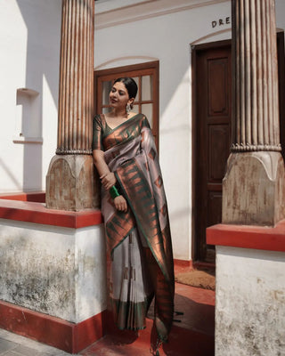 Luxuriant Grey Soft Silk Saree With Panoply Blouse Piece ClothsVilla