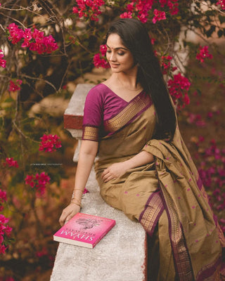Sophisticated Dark Beige Soft Banarasi Silk Saree With Energetic Blouse Piece ClothsVilla