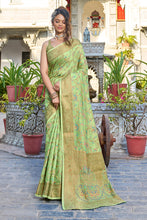 Load image into Gallery viewer, Glorious Pista Pashmina saree With Gossamer Blouse Piece Bvipul