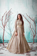 Load image into Gallery viewer, Beige Foil Work Net Party Wear Long Gown ClothsVilla