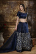 Load image into Gallery viewer, Blue Embroidered Organza Semi Stitched Lehenga Choli ClothsVilla