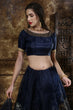 Load image into Gallery viewer, Blue Embroidered Organza Semi Stitched Lehenga Choli ClothsVilla