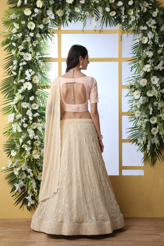 Exclusive Beige Georgette Lehenga Choli - Chain Stitch And Sequence Work With Heavy Georgette Dupatta For Women ClothsVilla