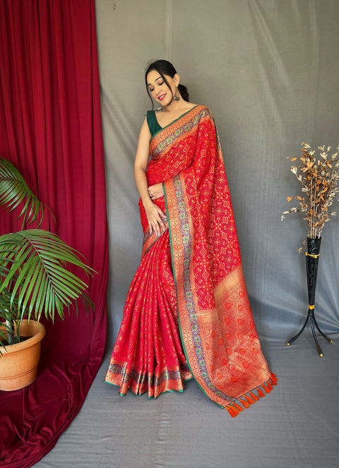 Red Saree in Bandhej Patola Silk Woven Clothsvilla Main image