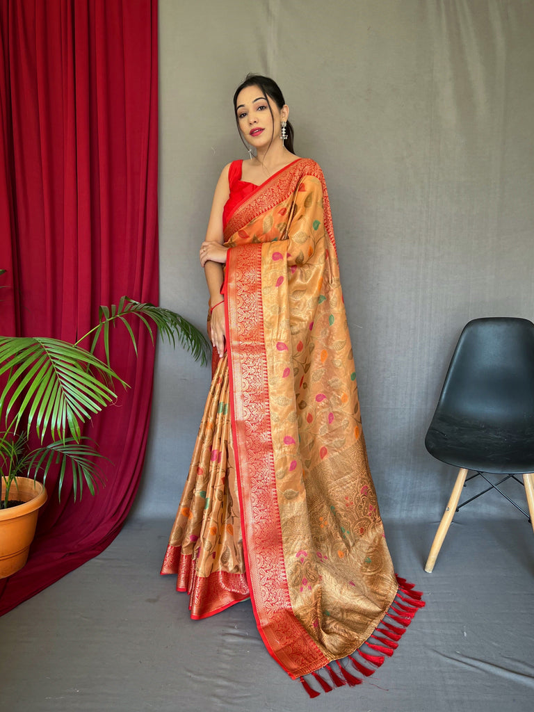 Kanjeevaram Tissue Silk Sitara Jaal Meenakari Woven Saree Dusty Orange Clothsvilla