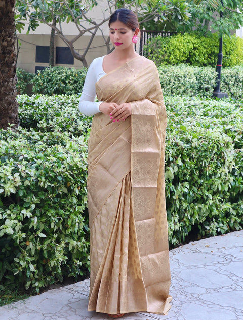 Soft Dola Silk Rose Gold Zari Woven Saree Chickoo Clothsvilla Main image