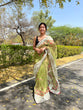 Load image into Gallery viewer, Organza Lucknowi Chikankari Multicolor Viscose Work Saree Greenish Beige Clothsvilla