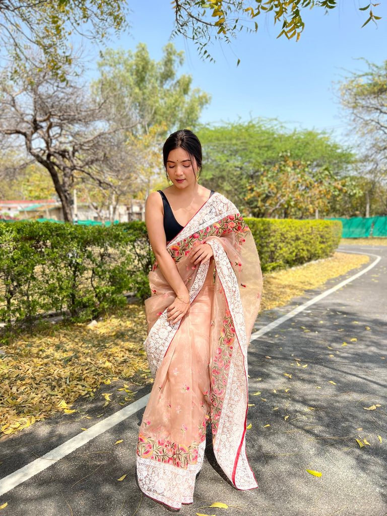 Organza Lucknowi Chikankari Multicolor Viscose Work Saree Taupe Clothsvilla