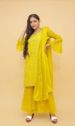 Masturd Pakistani Chinon Plazo Suit For Indian Festival & Weddings - Sequence Embroidery Work, Thread Embroidery Work, Clothsvilla