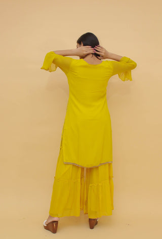 Masturd Pakistani Chinon Plazo Suit For Indian Festival & Weddings - Sequence Embroidery Work, Thread Embroidery Work, Clothsvilla