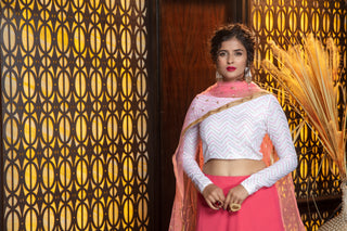 Melon Pink Georgette Lehenga Choli With Net Dupatta ClothsVilla