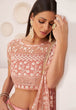 Load image into Gallery viewer, Peach Pink Lehenga Choli in Soft Net With Sequence and Thread Work Clothsvilla