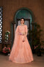 Peach Thread Embroidered Net Wedding Wear Lehenga Choli ClothsVilla