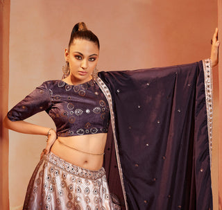 Ravishing Purple Color Mirror & Sequence Work Velvet Lehenga Choli Clothsvilla