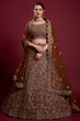 Load image into Gallery viewer, Floral Net Brown Lehenga With Embroidered And Thread Work Clothsvilla