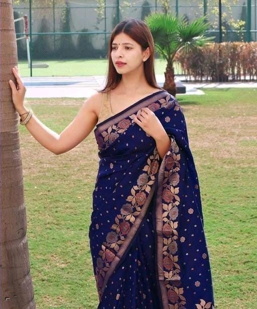 Petrichor Navy Blue Soft Banarasi Silk Saree With Super extravagant Blouse Piece Shriji