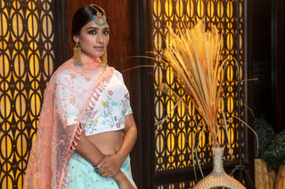 Sky Blue Embroidery Flaired Festival Wear Lehenga With White Choli ClothsVilla