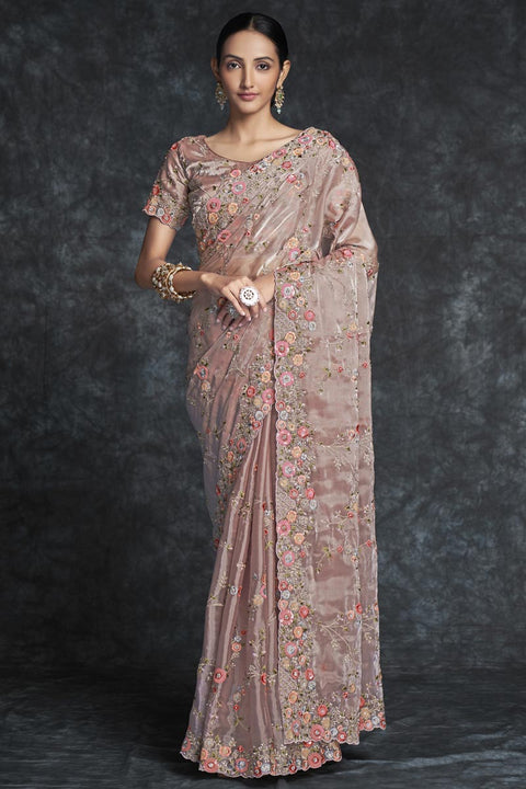 Chikoo Color Designer Embroidered Saree Clothsvilla Main image