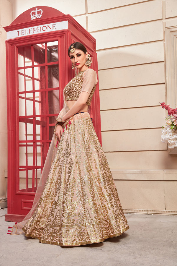 Thai Silk Salmon Pink Color Lehenga Choli With Handwork Blouse For Women Wedding, Party Wear, Ethic Wear, Traditional Wear Chaniya Choli ClothsVilla