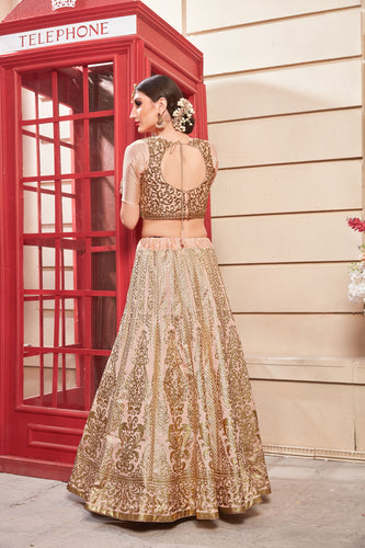 Thai Silk Salmon Pink Color Lehenga Choli With Handwork Blouse For Women Wedding, Party Wear, Ethic Wear, Traditional Wear Chaniya Choli ClothsVilla