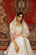 Load image into Gallery viewer, Traditional Indian Bridal Style Net Embroidered Lehenga Choli ClothsVilla.com