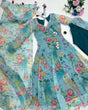 Load image into Gallery viewer, Fabulous Sky Blue Color Printed Anarkali Gown Clothsvilla
