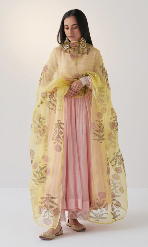 Peach Color Wonderful Gown With Palazzo Main image