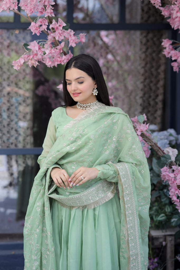 Lovely Pista Green Color Gown With Embroidered Work Dupatta Lovely Pista Green Color Gown With Embroidered Work Dupatta