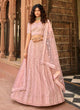 Load image into Gallery viewer, Baby Pink Organza Zari And Resham Work Lehenga Clothsvilla