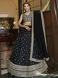 Load image into Gallery viewer, Black Net Embroidered Lehenga Choli Clothsvilla