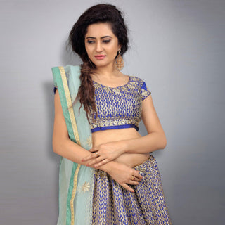 Blue Party Wear Sequins Embroidered Tapetta Lehenga Choli Clothsvilla