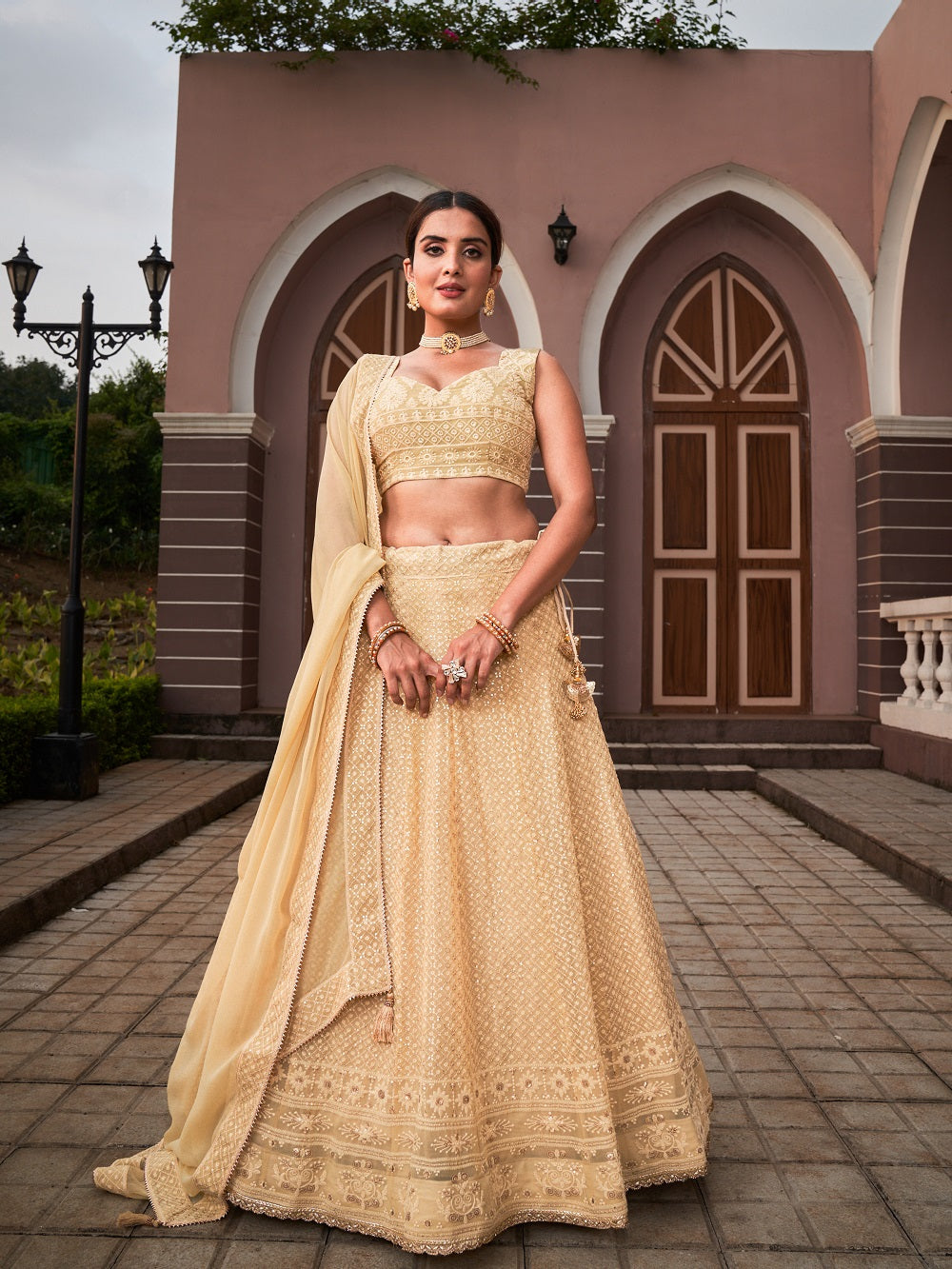 Chiku Color Lucknowi With Sequins Work Georgette Lehenga Choli Clothsvilla