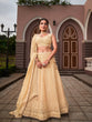Load image into Gallery viewer, Chiku Color Lucknowi With Sequins Work Georgette Lehenga Choli Clothsvilla