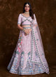 Load image into Gallery viewer, Enchanting Rose Pink Net Trendy Lehenga Choli Clothsvilla