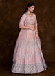 Load image into Gallery viewer, Exquisite Thread Work Net A Line Lehenga Choli Clothsvilla