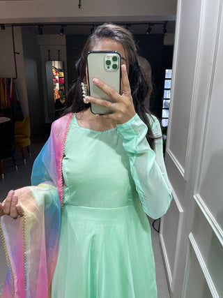 Pista Color Simple Soft Organza Gown Clothsvilla