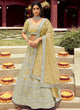 Load image into Gallery viewer, Patch Border Organza Lehenga Choli Clothsvilla