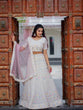Load image into Gallery viewer, White Color  Lucknowi Work Georgette Chaniya Choli Clothsvilla